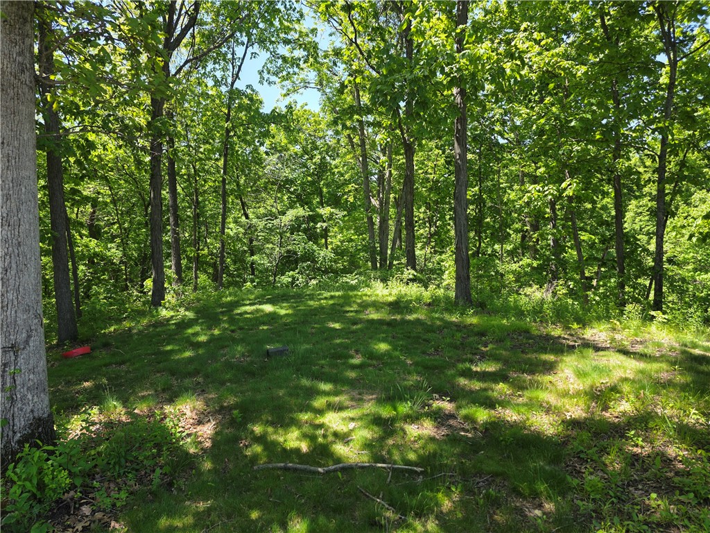 3082 East 300 N Road Stewardson, IL 62463 - Photo 39 of 40
