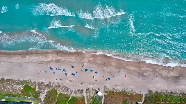 a view of an fountain in middle of the garden