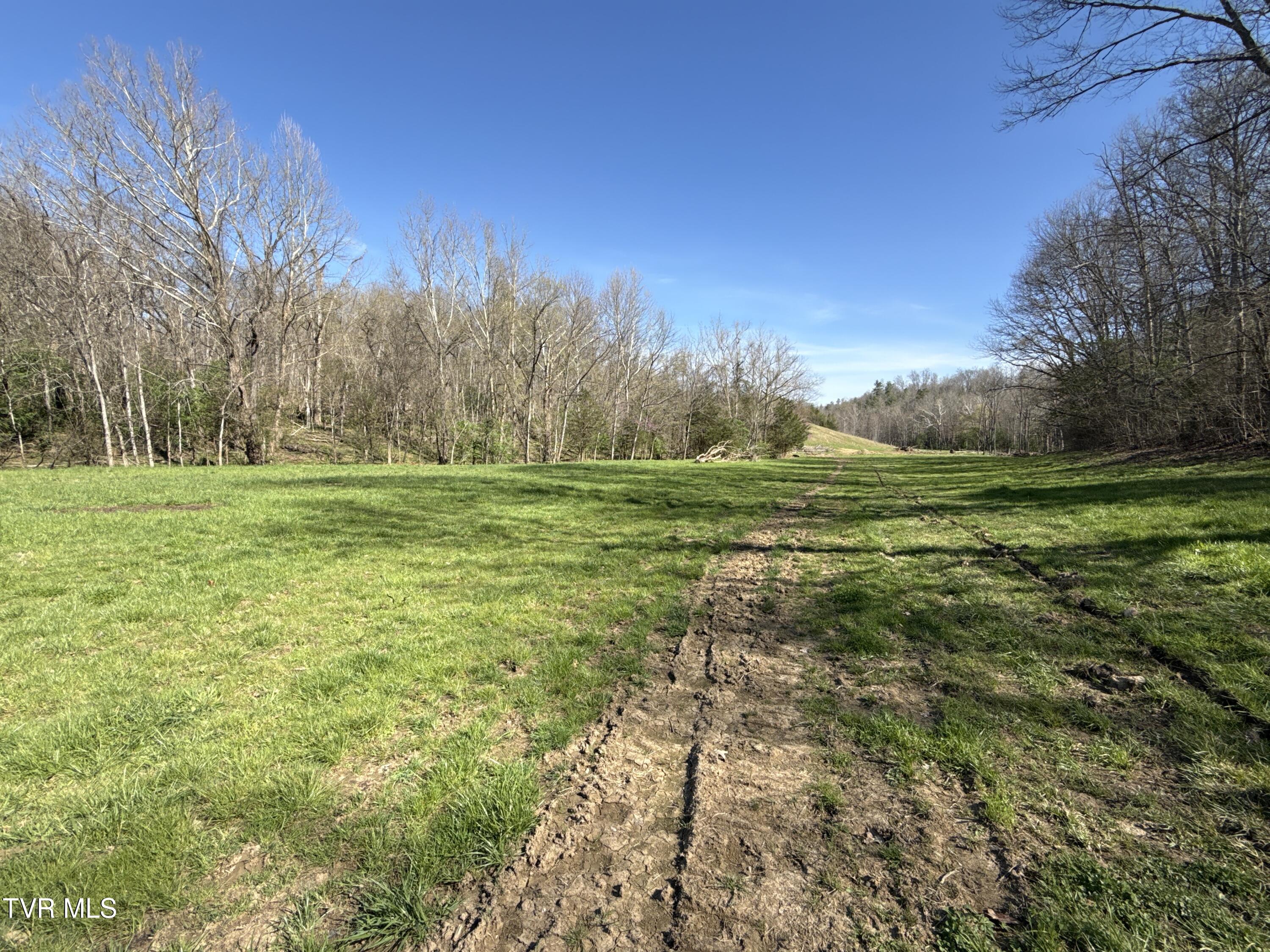 12315 Warrensburg Road Midway, TN 37809 - Photo 82 of 106 _Pic81