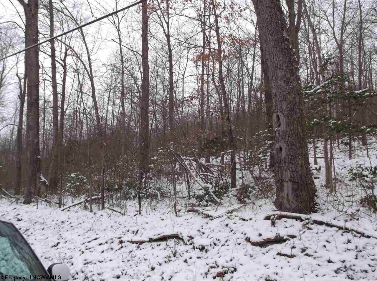 0 Derico Road Buckhannon, WV 26201 - Photo 2 of 4 Gallery Image 2