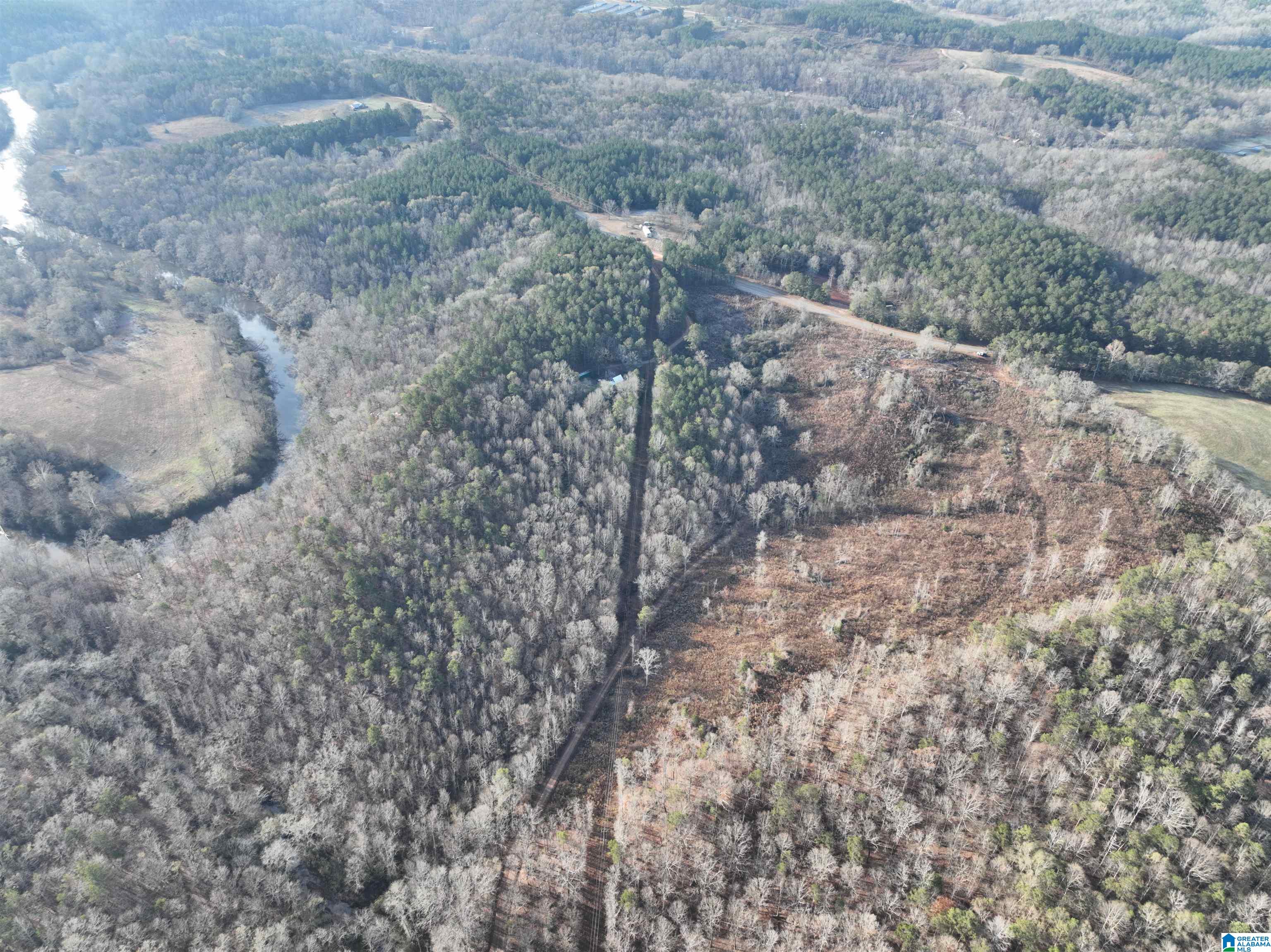 532 County Road Woodland, AL 36280 - Photo 9 of 12