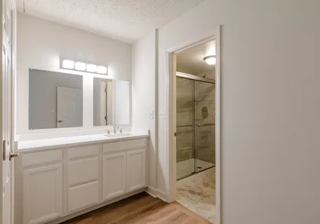 a bathroom with a double vanity sink and mirror