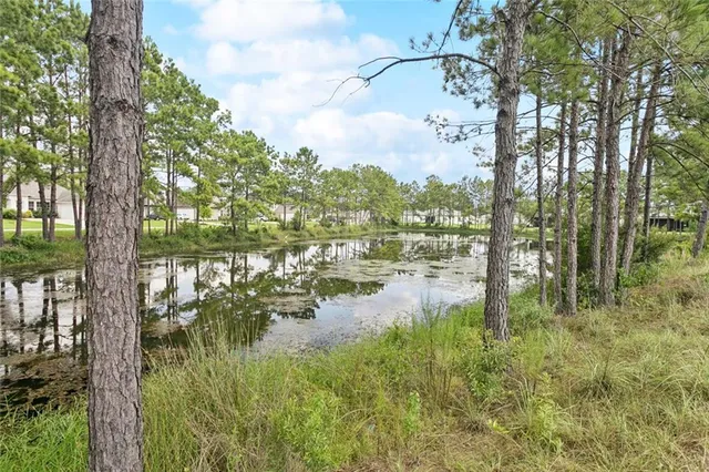 $398,900 | 23339 Noble Oak Drive, Springfield, LA 70462