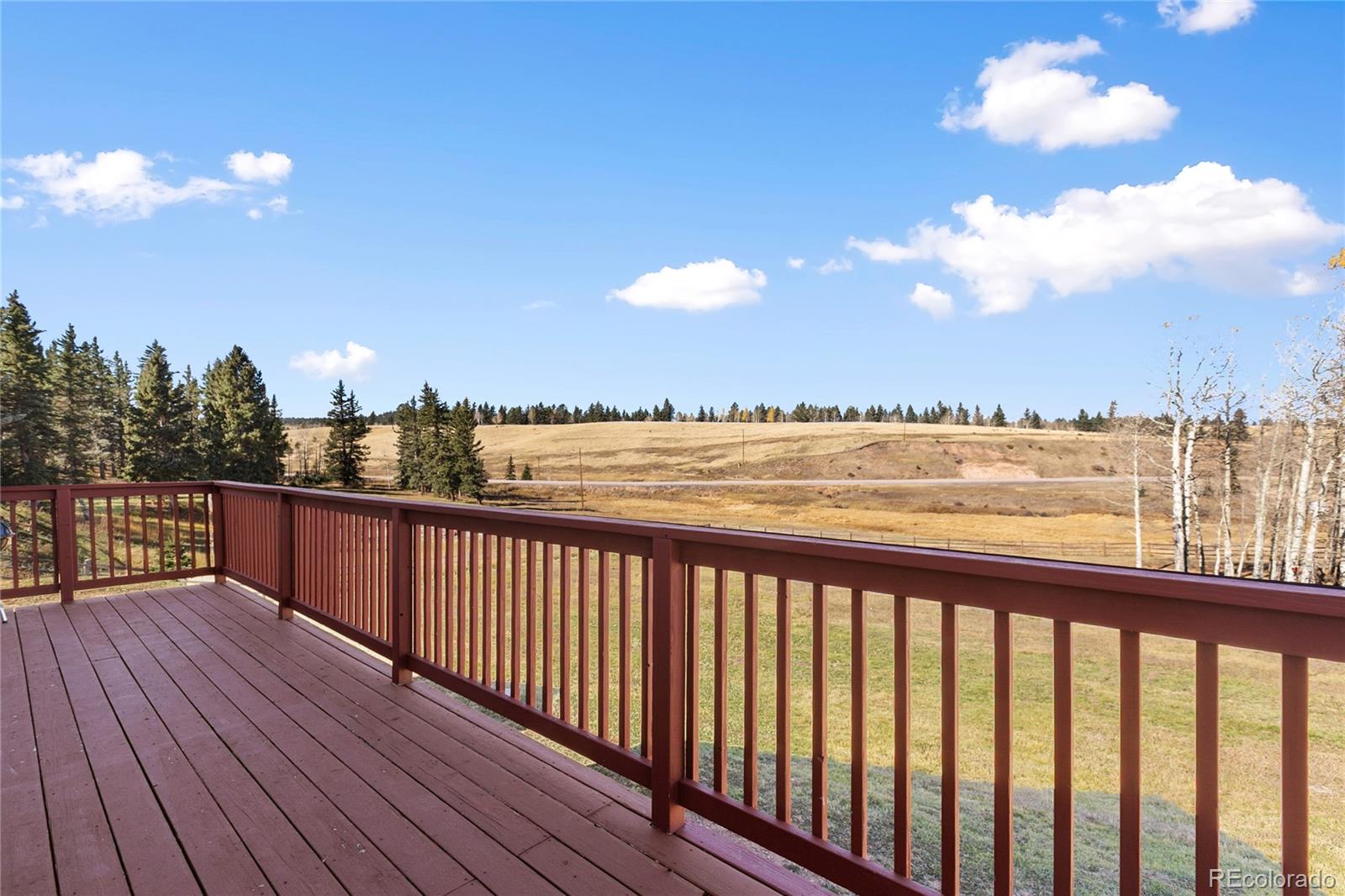 19 Worley Road Divide, CO 80814 - Photo 7 of 33