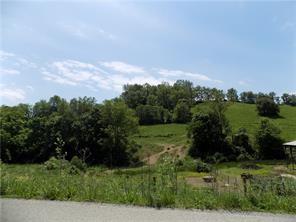 883 Dunn Station Road Prosperity, PA 15329 - Photo 4 of 13