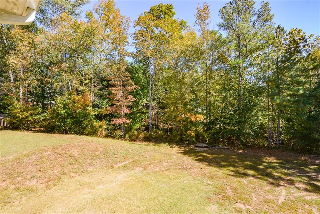 161 Baywood Lane Villa Rica, GA 30180 - Photo 54 of 107