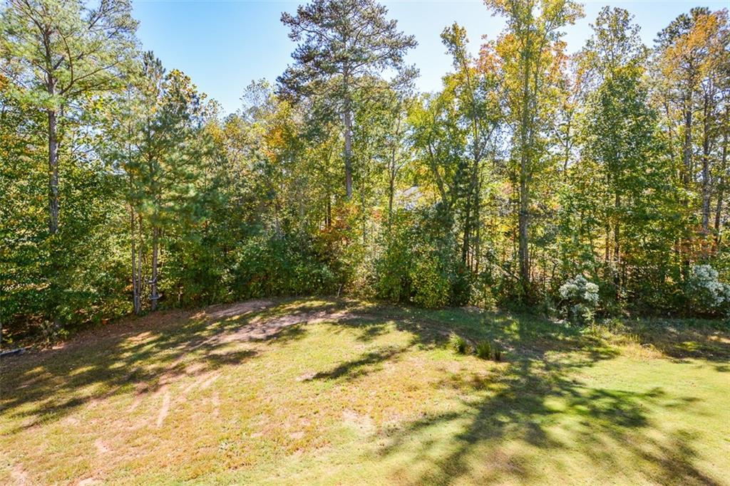 161 Baywood Lane Villa Rica, GA 30180 - Photo 55 of 107