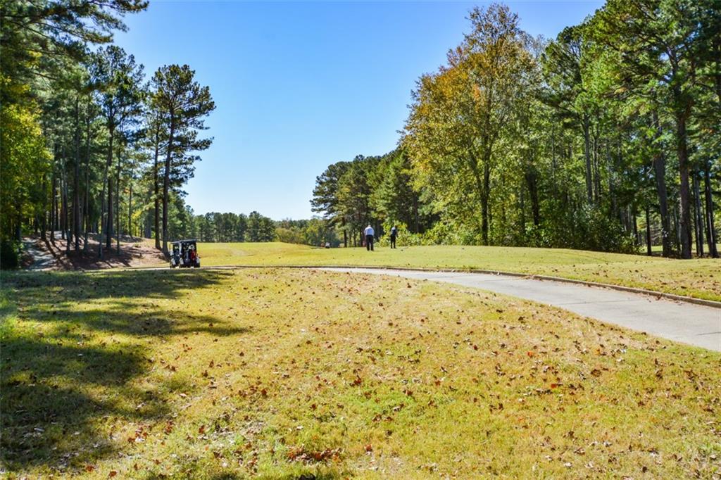 161 Baywood Lane Villa Rica, GA 30180 - Photo 88 of 107