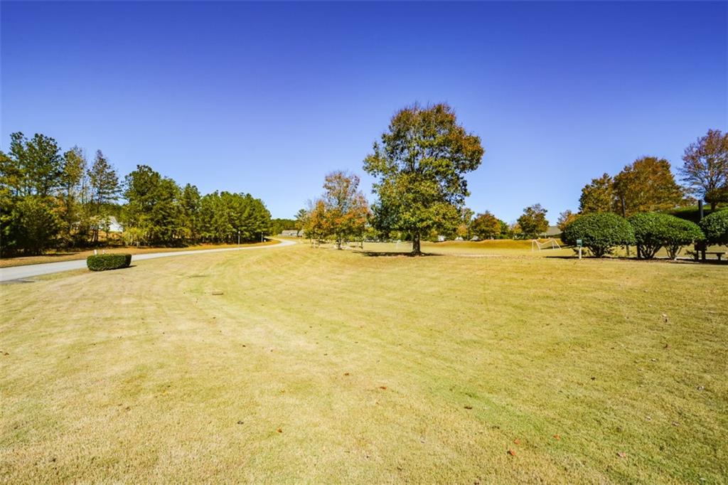 161 Baywood Lane Villa Rica, GA 30180 - Photo 100 of 107