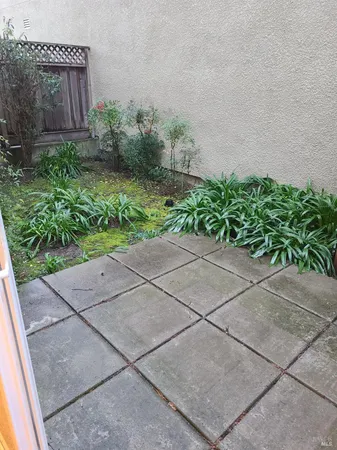 a view of a garden with pathway