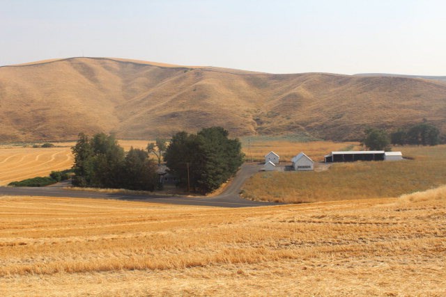 337 Lower Whetstone Road Waitsburg, WA 99361 - Photo 4 of 5 a view of ocean with mountains
