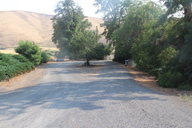 337 Lower Whetstone Road Waitsburg, WA 99361 - Photo 5 of 5 a view of a yard with a tree