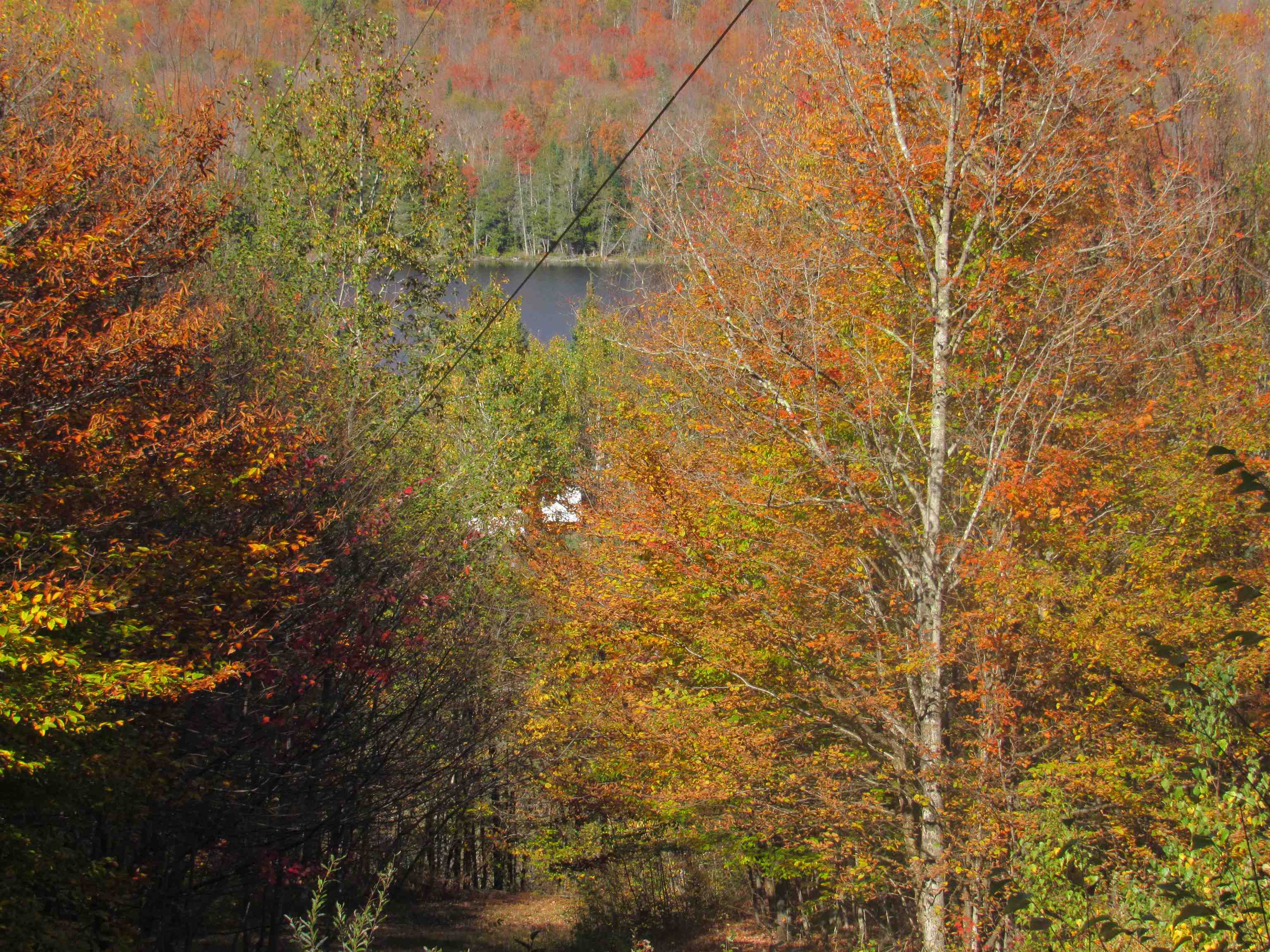 6791 Highway 5 Sutton, VT 05867 - Photo 11 of 50 Gallery Image 11