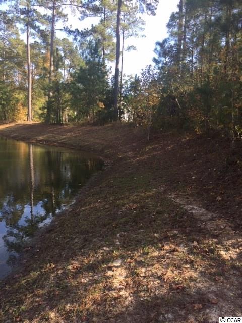 Lot 104 Knotty Pine Way Murrells Inlet, SC 29576 - Photo 1 of 25