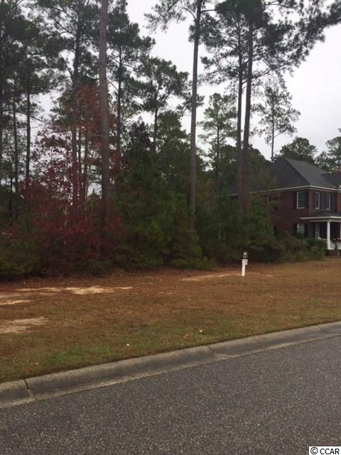 Lot 104 Knotty Pine Way Murrells Inlet, SC 29576 - Photo 14 of 25