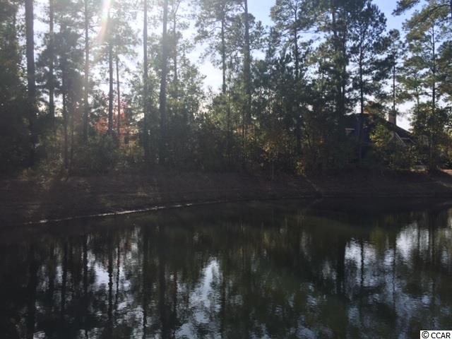 Lot 104 Knotty Pine Way Murrells Inlet, SC 29576 - Photo 17 of 25