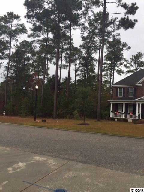 Lot 104 Knotty Pine Way Murrells Inlet, SC 29576 - Photo 20 of 25