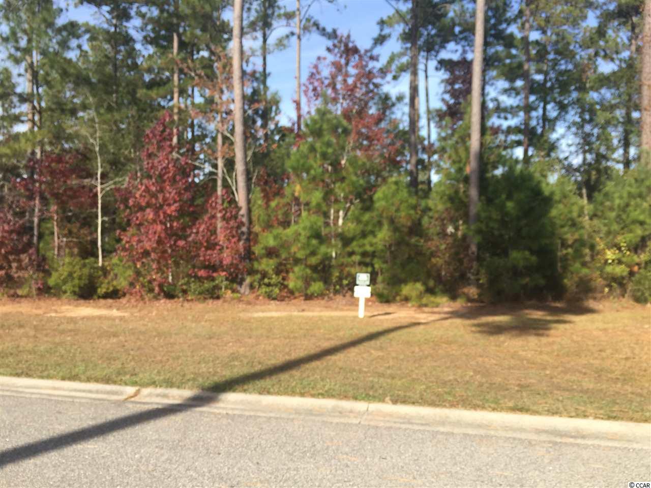 Lot 104 Knotty Pine Way Murrells Inlet, SC 29576 - Photo 22 of 25