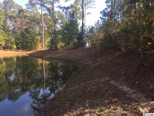 Lot 104 Knotty Pine Way Murrells Inlet, SC 29576 - Photo 23 of 25