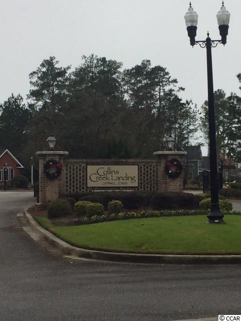 Lot 104 Knotty Pine Way Murrells Inlet, SC 29576 - Photo 25 of 25