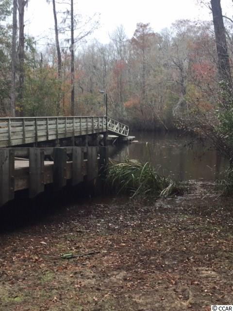 Lot 104 Knotty Pine Way Murrells Inlet, SC 29576 - Photo 5 of 25