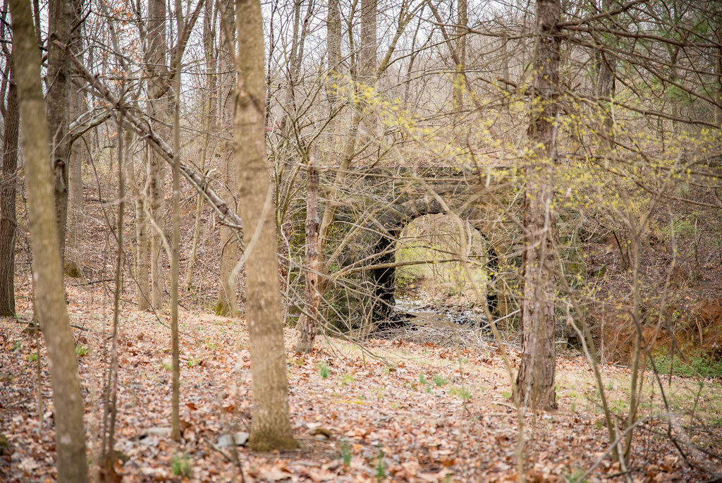 802 North Mill Road Salem, VA 24153 - Photo 17 of 17 Backyard