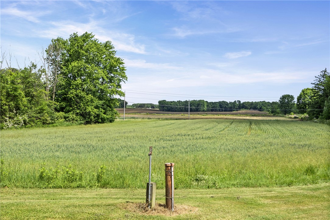 4880 Skinner Road Marion, NY 14505 - Photo 13 of 19