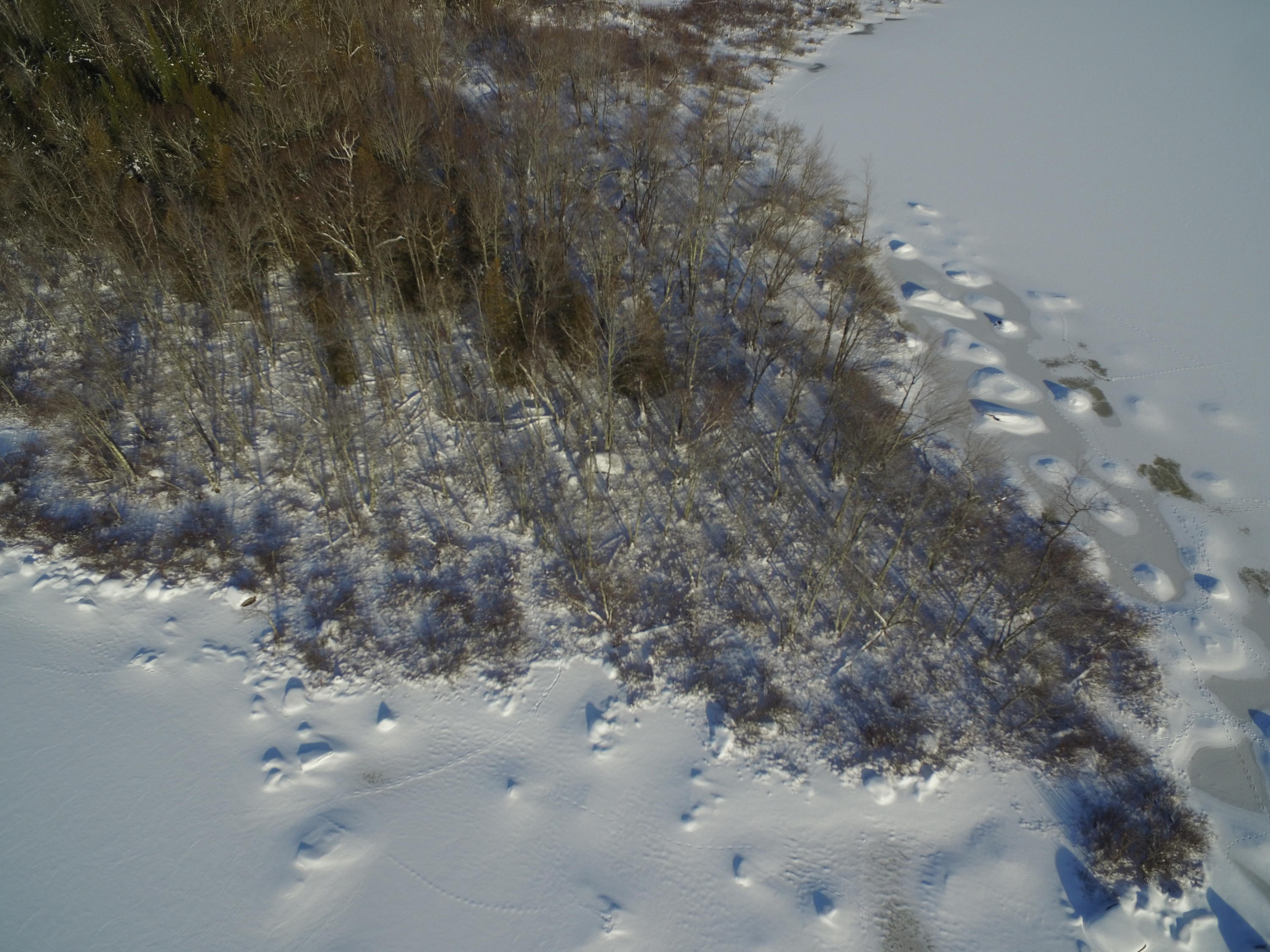 Off Off Saponac Pond Road Burlington, ME 04417 - Photo 15 of 19 DJI_0050