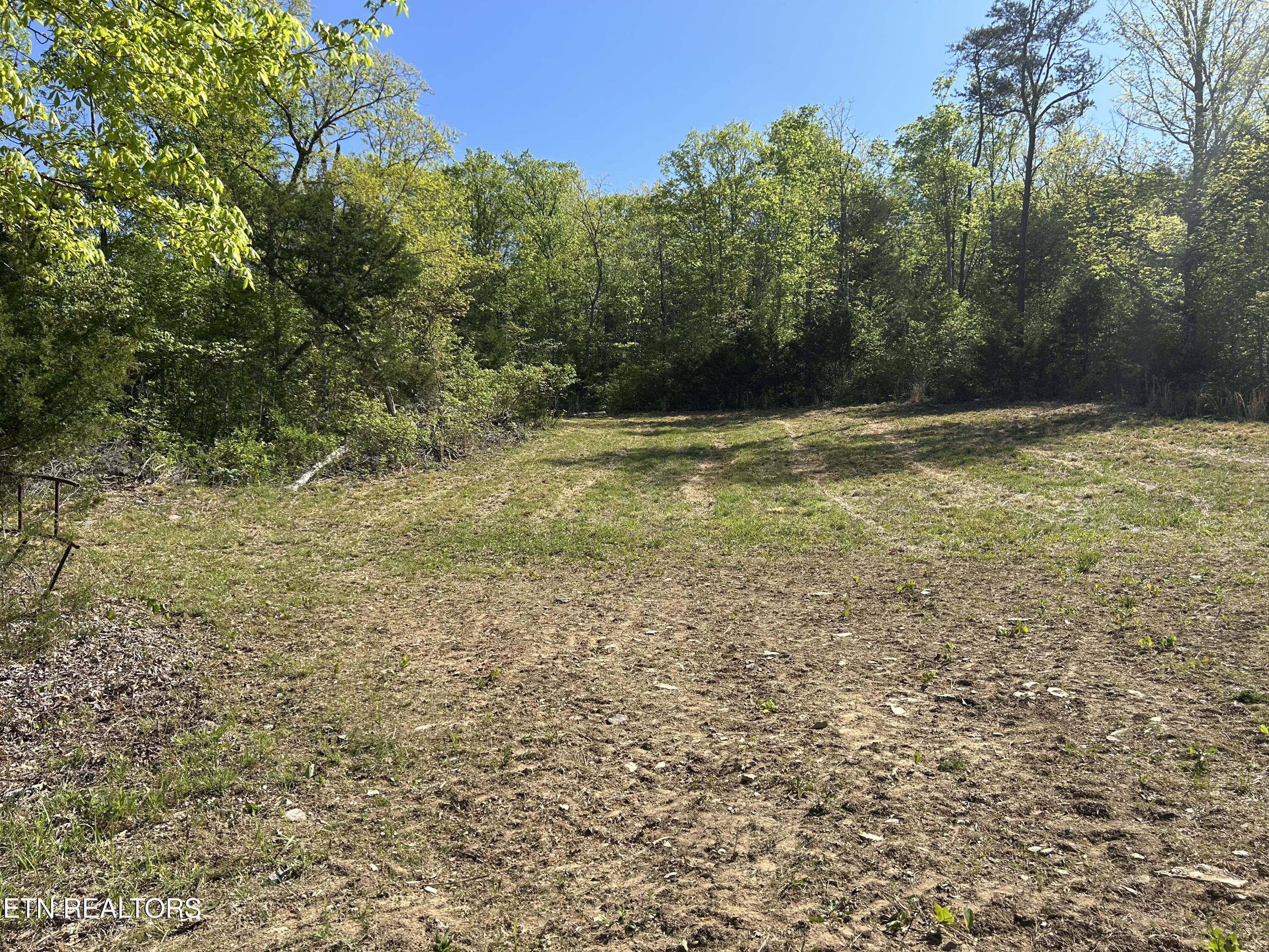 Long Hollow Road Sneedville, TN 37869 - Photo 1 of 7 IMG_6175