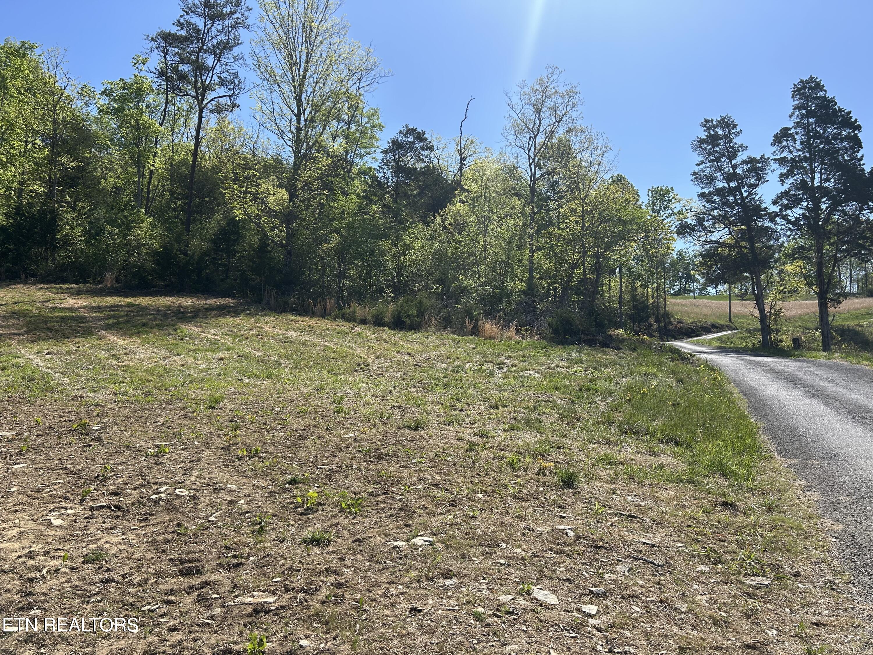 Long Hollow Road Sneedville, TN 37869 - Photo 2 of 7 IMG_6176