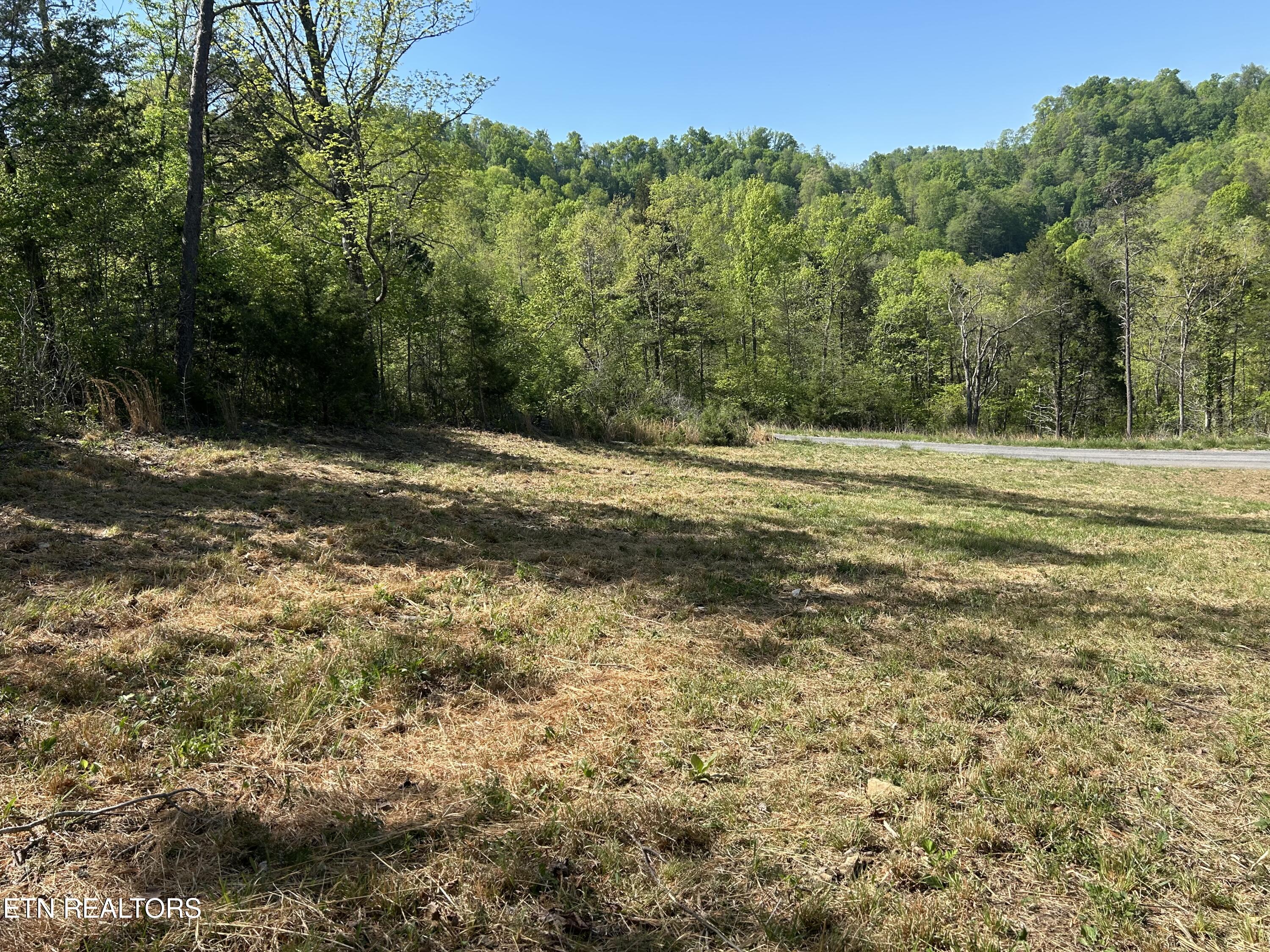 Long Hollow Road Sneedville, TN 37869 - Photo 3 of 7 IMG_6178