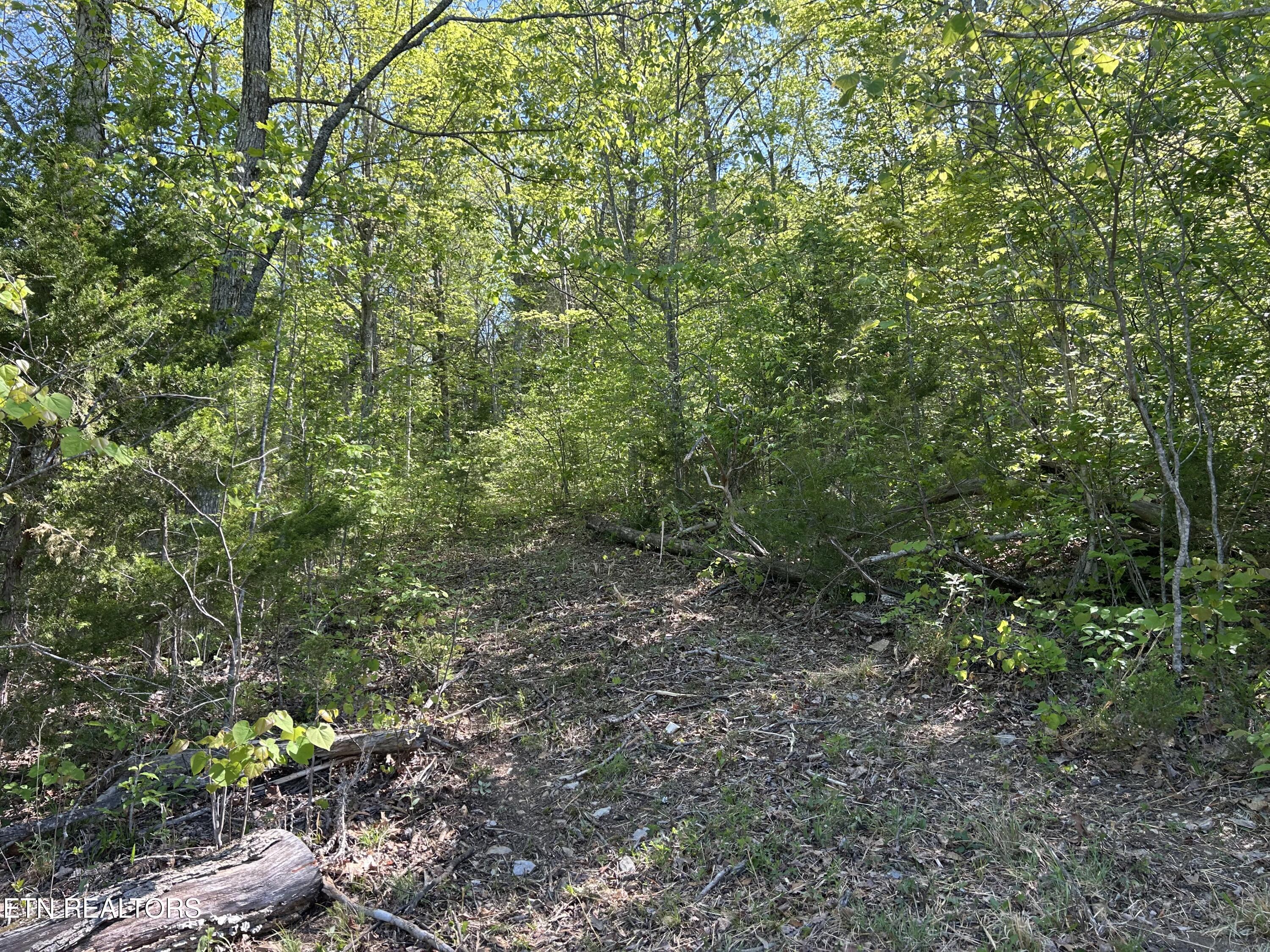 Long Hollow Road Sneedville, TN 37869 - Photo 4 of 7 IMG_6179