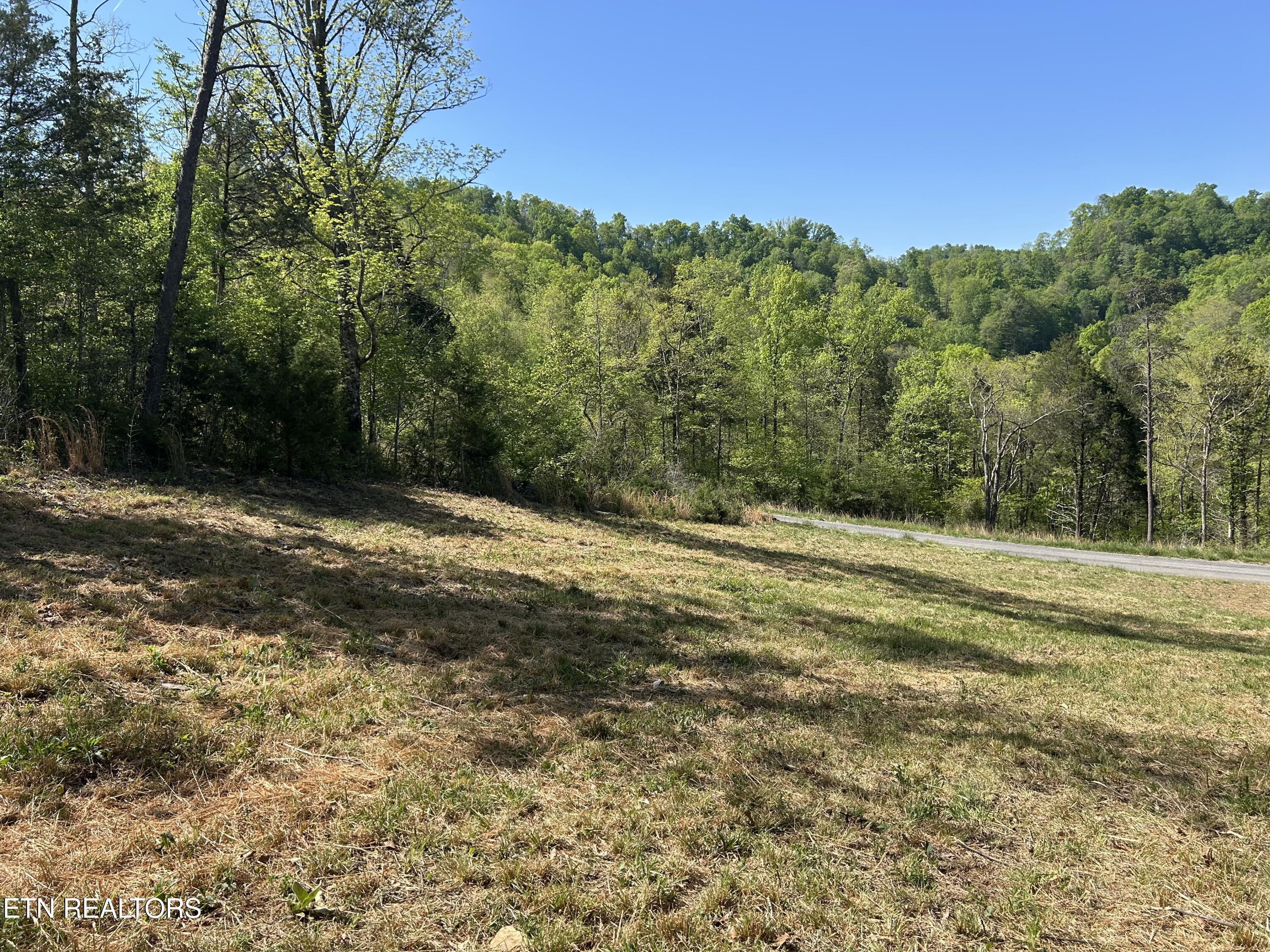 Long Hollow Road Sneedville, TN 37869 - Photo 5 of 7 IMG_6182