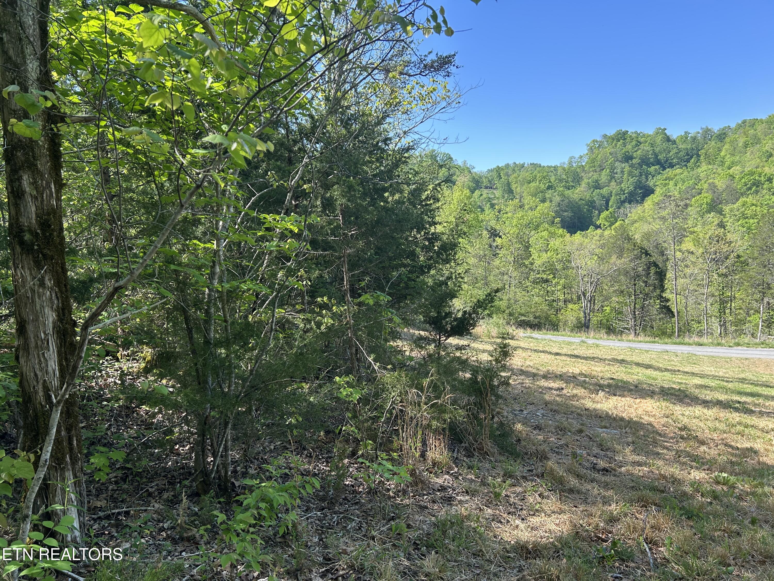 Long Hollow Road Sneedville, TN 37869 - Photo 6 of 7 IMG_6181