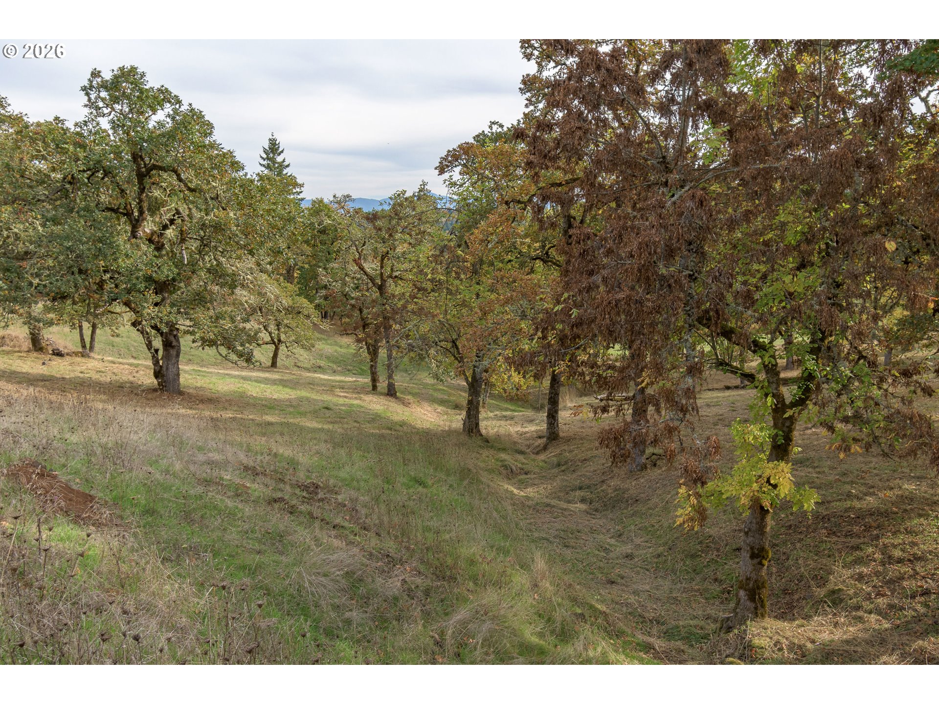Hidden Meadows Eugene, OR 97405 - Photo 3 of 24
