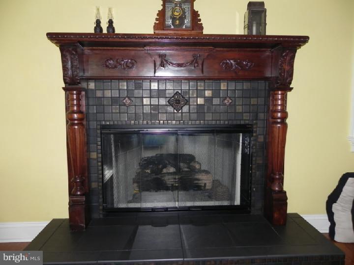 64 Curley Mill Road Chalfont, PA 18914 - Photo 10 of 25 Fireplace