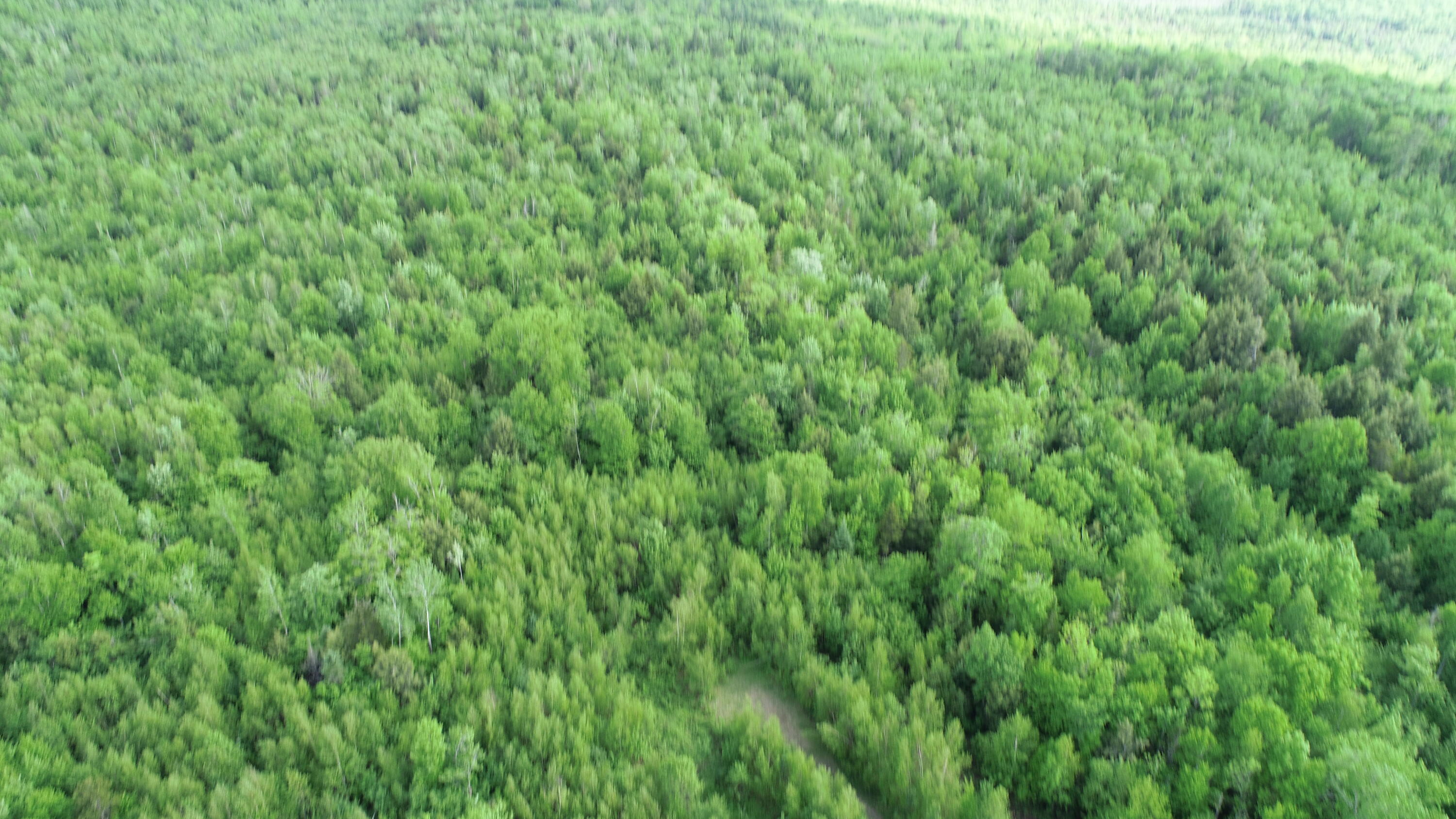 Lot 5 Harris Hill Road Weston, ME 04424 - Photo 16 of 21 DJI_0757
