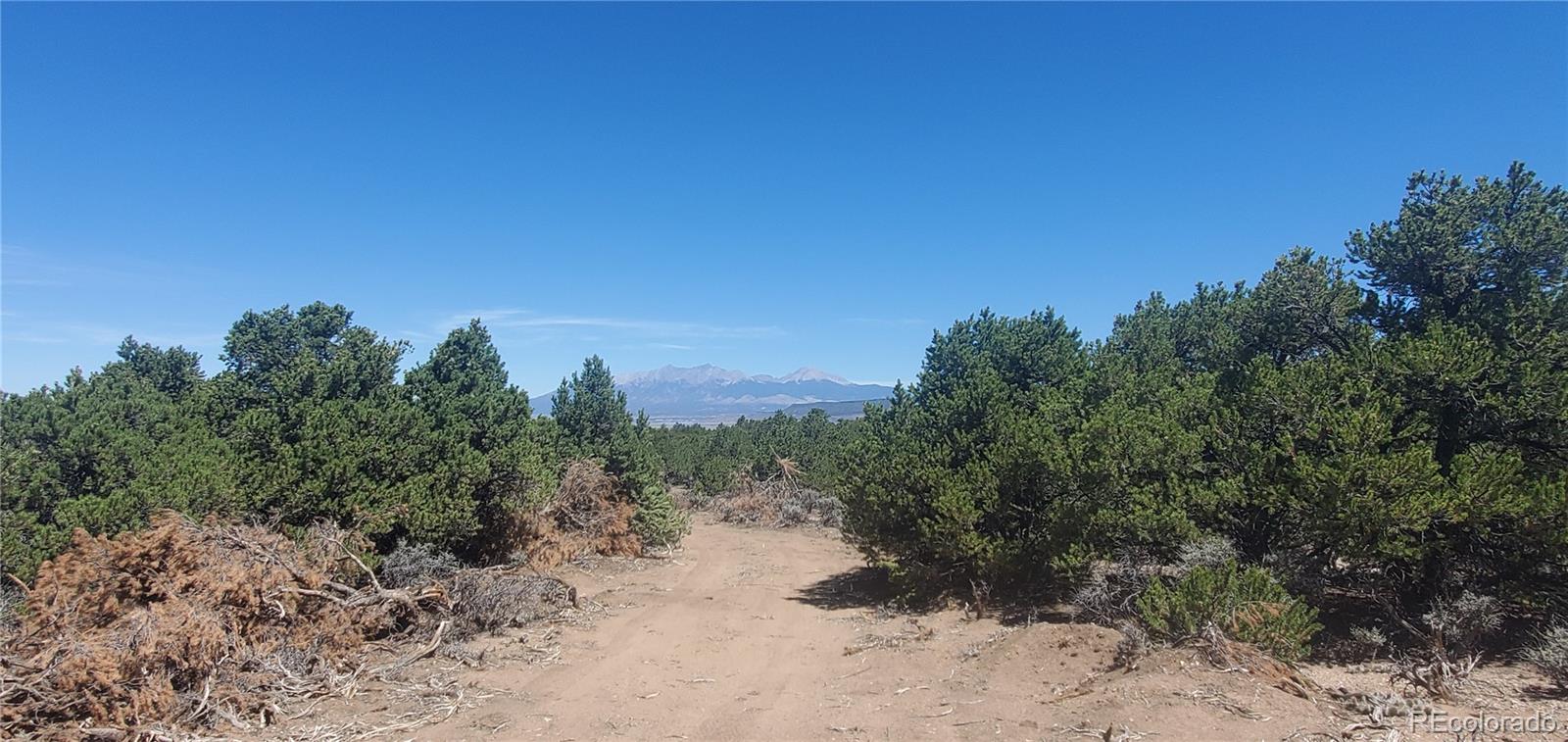 Lot 1321 Michaels Road San Luis, CO 81152 - Photo 8 of 17