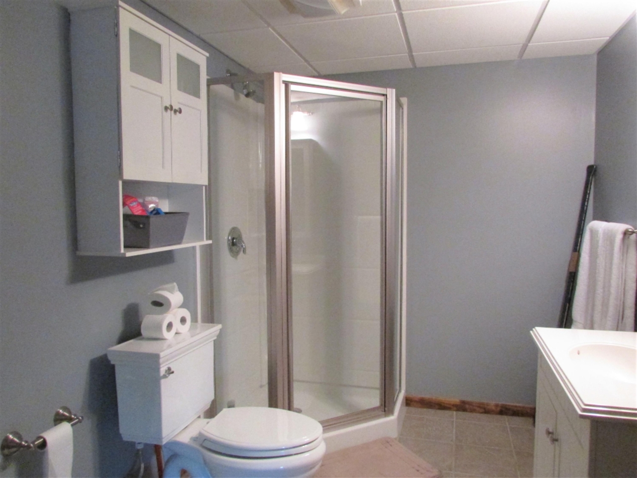 833 Shawnee Beach Road Bronson, MI 49028 - Photo 23 of 43