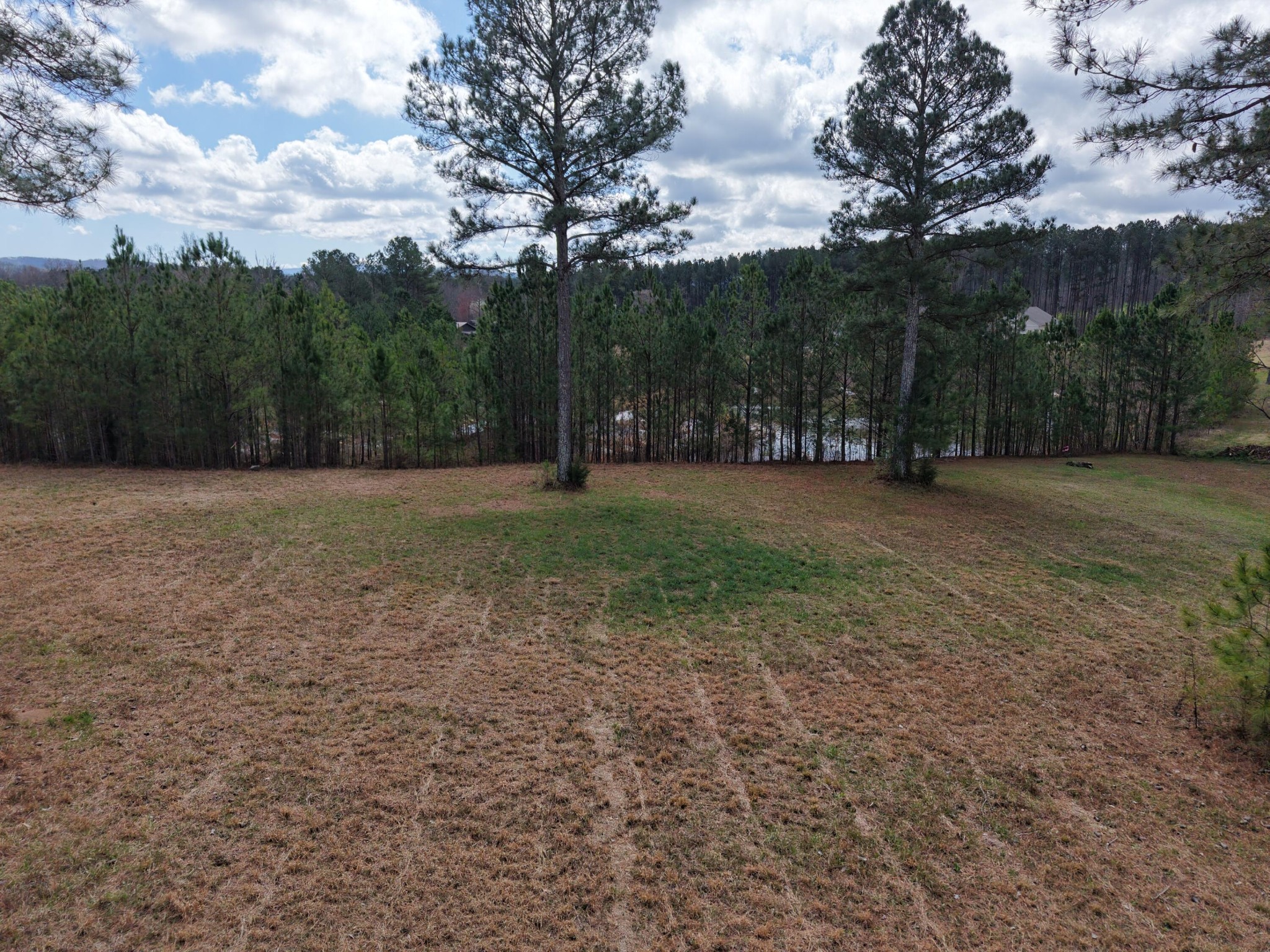 129 Bob White Road Ocoee, TN 37361 - Photo 7 of 14