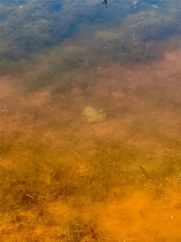 a view of yard with an outdoor space
