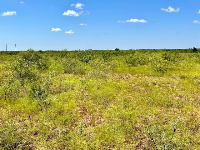 a view of a lake from a yard