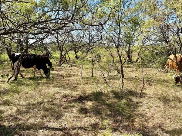 $95,000 | 176 Ovalo Tx 79541, Ovalo, TX 79541