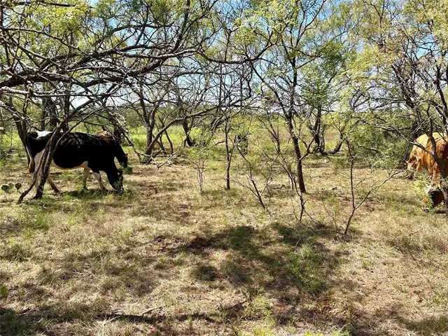 a view of backyard with table and chairs