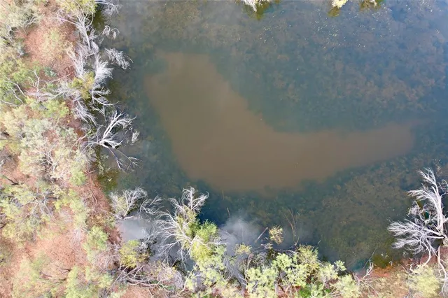 a vase of flowers sitting on a table