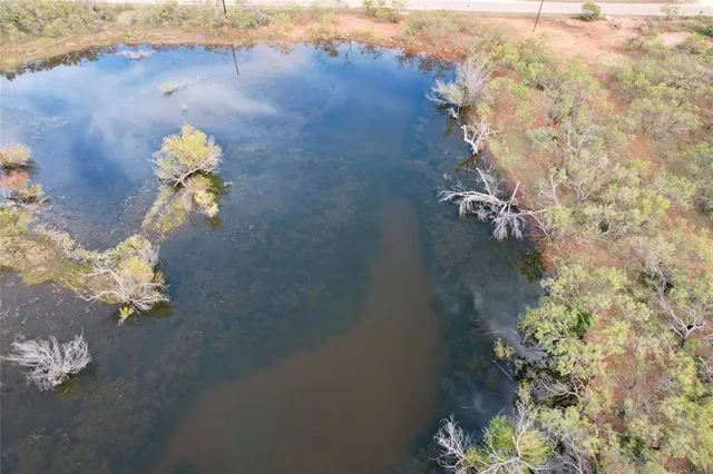 a view of a lake from a yard