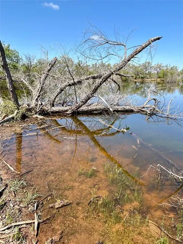 a view of a lake with lots of trees