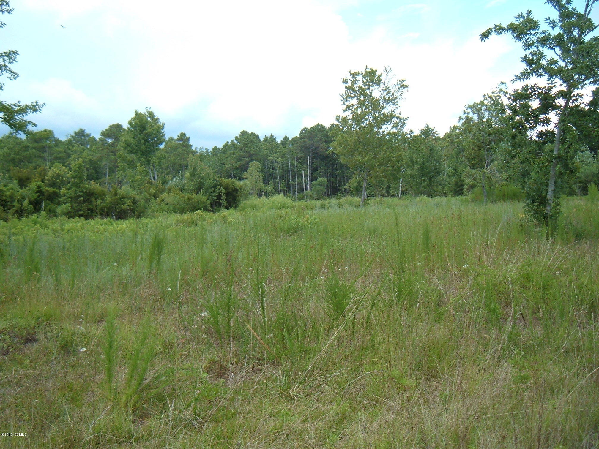 442 Eagle Road Newport, NC 28570 - Photo 1 of 3 8 acres of quiet