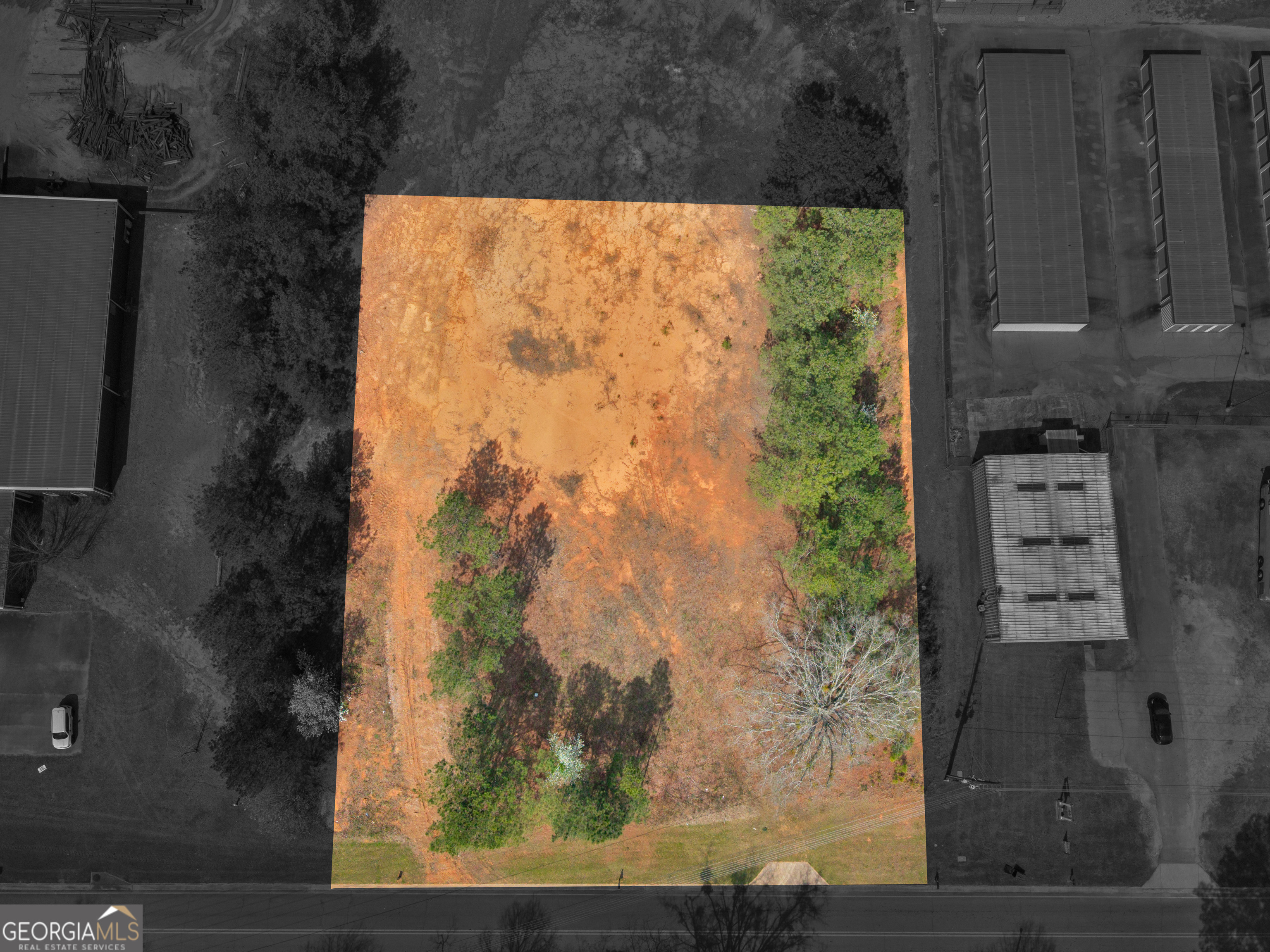 a view of a wooden floor with a tree in front of it