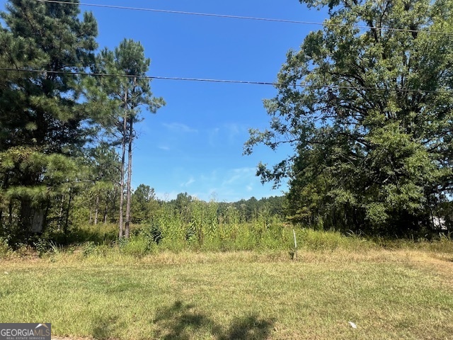 0 County Farm Road Williamson, GA 30292 - Photo 2 of 9 a view of a yard